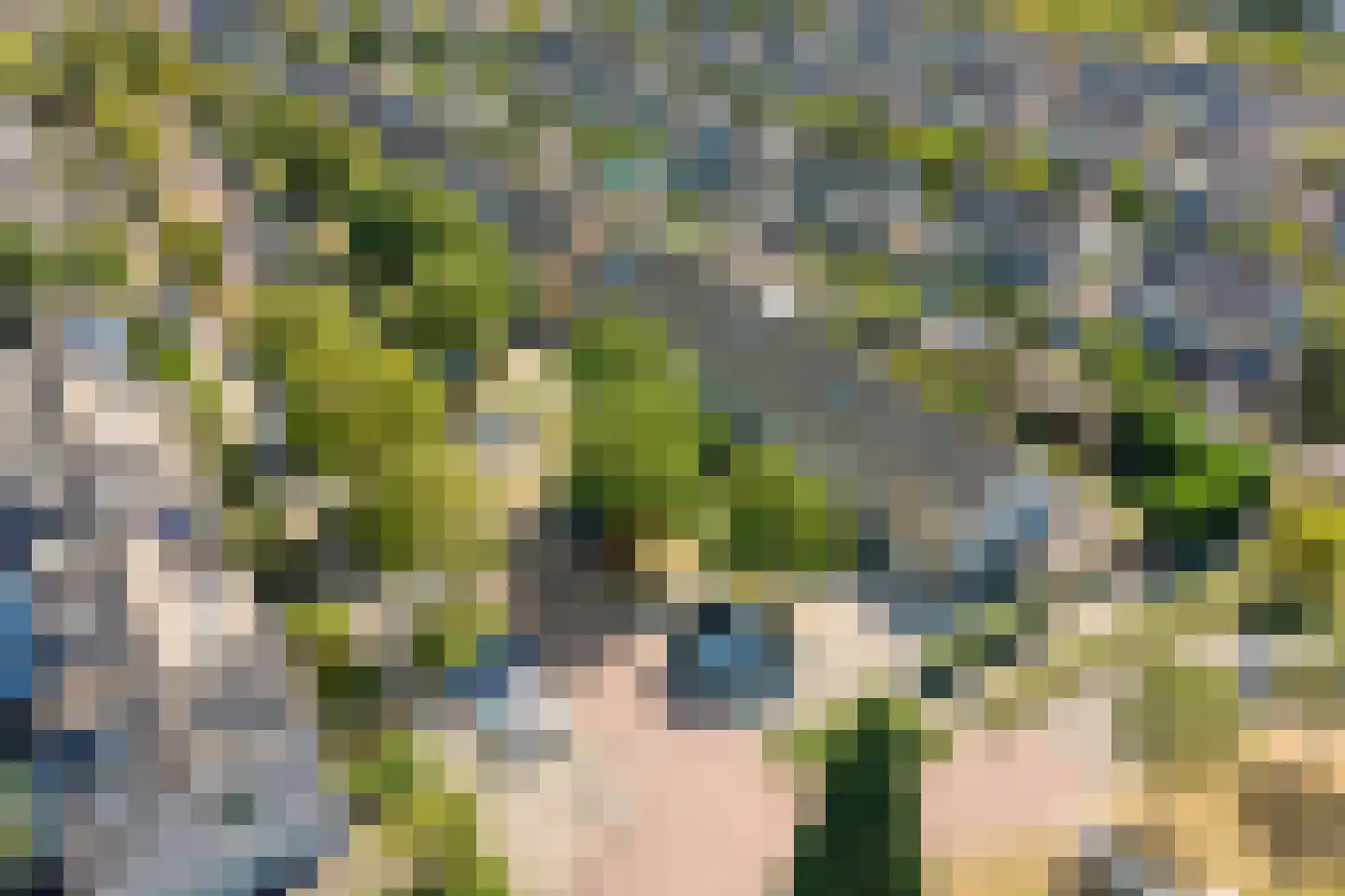 Gele Varaan 43 Heerhugowaard thumbnail 27