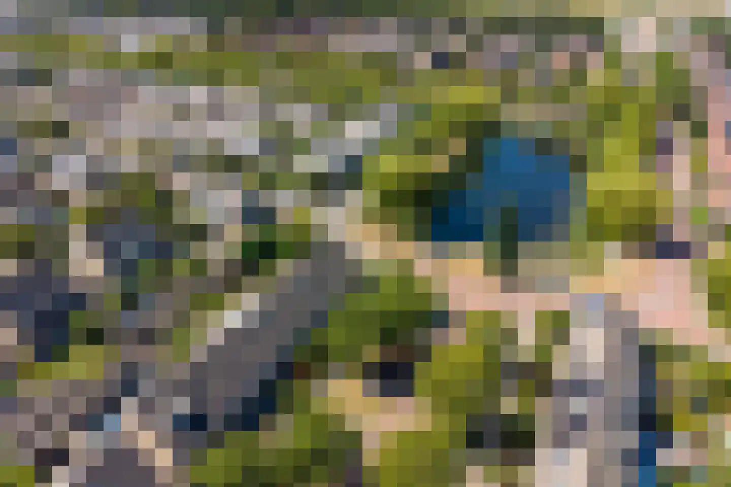 Gele Varaan 43 Heerhugowaard thumbnail 28