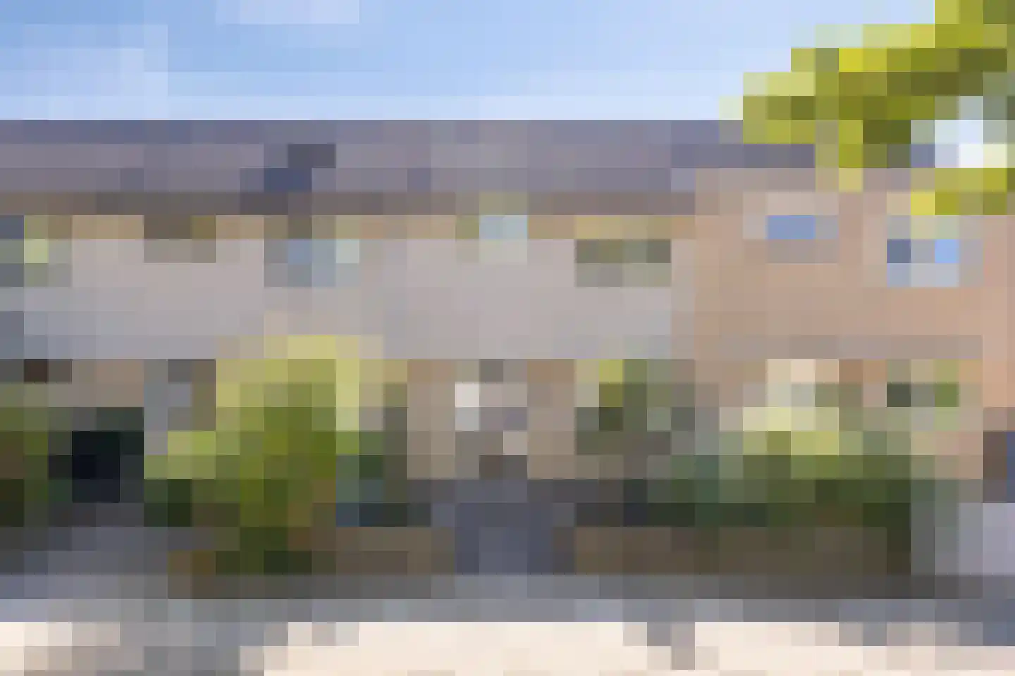 Gele Varaan 43 Heerhugowaard thumbnail 29