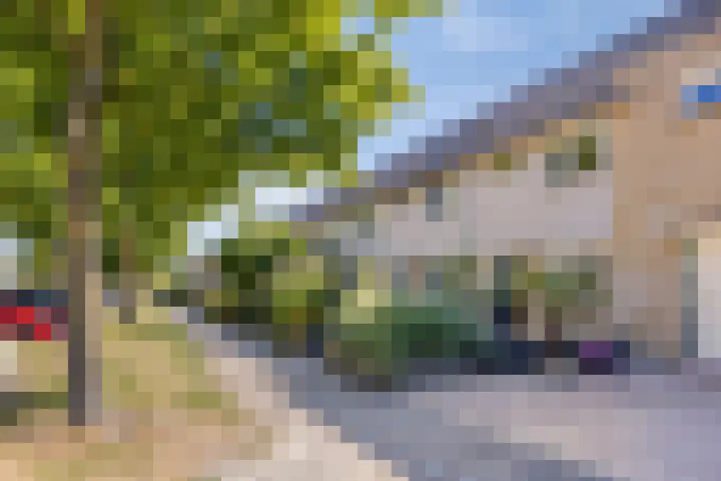 Gele Varaan 43 Heerhugowaard thumbnail 31