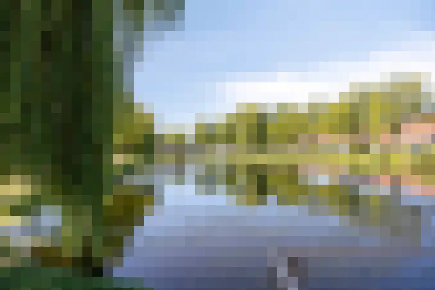 Gele Varaan 43 Heerhugowaard thumbnail 32