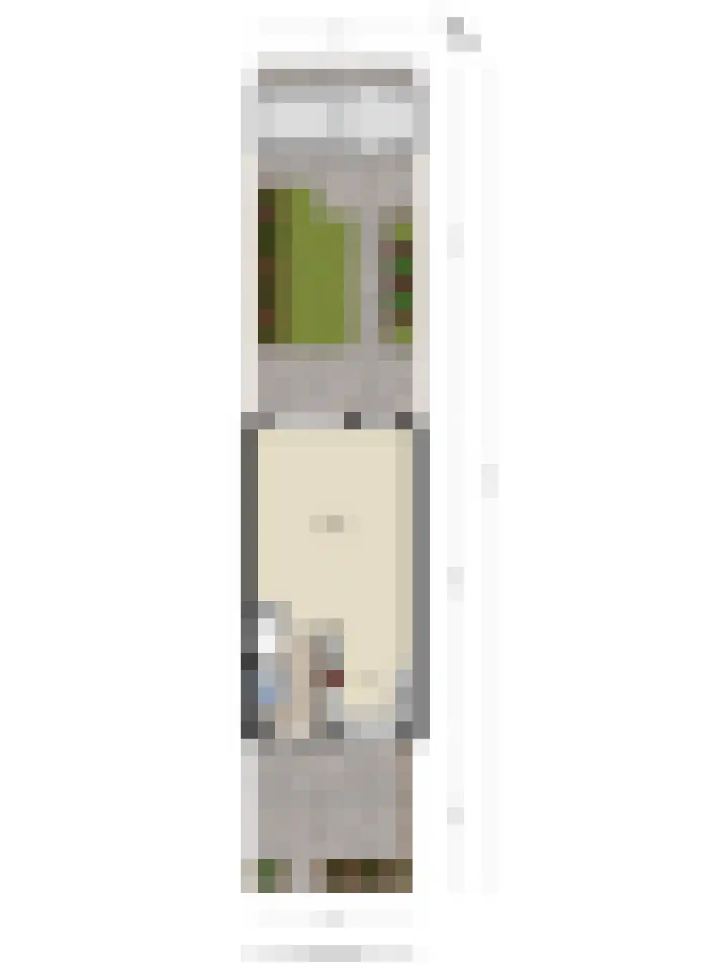 Gele Varaan 43 Heerhugowaard thumbnail 39