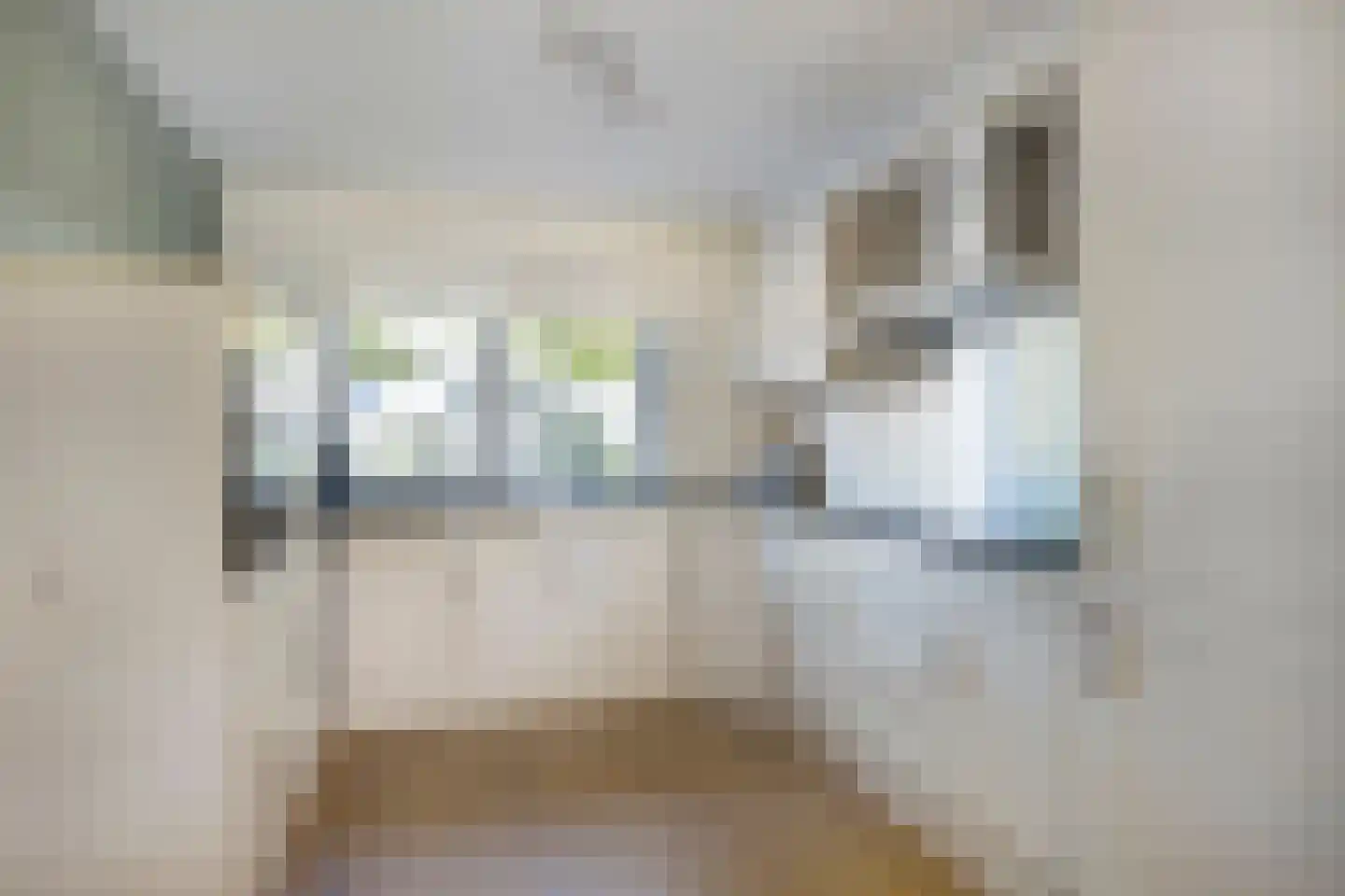 Gele Varaan 43 Heerhugowaard thumbnail 8