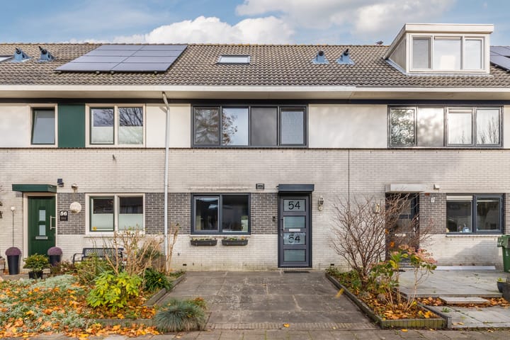 Gele Varaan 54 in Heerhugowaard photo