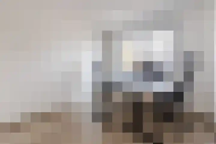 Gele Varaan 54 Heerhugowaard thumbnail 23