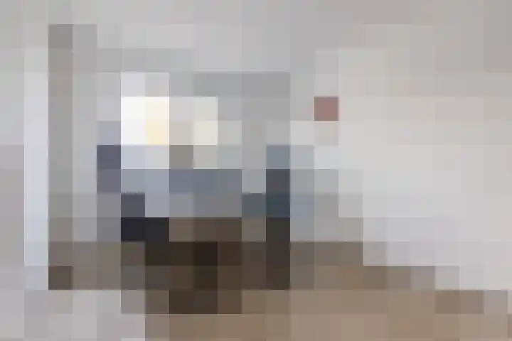 Gele Varaan 54 Heerhugowaard thumbnail 24