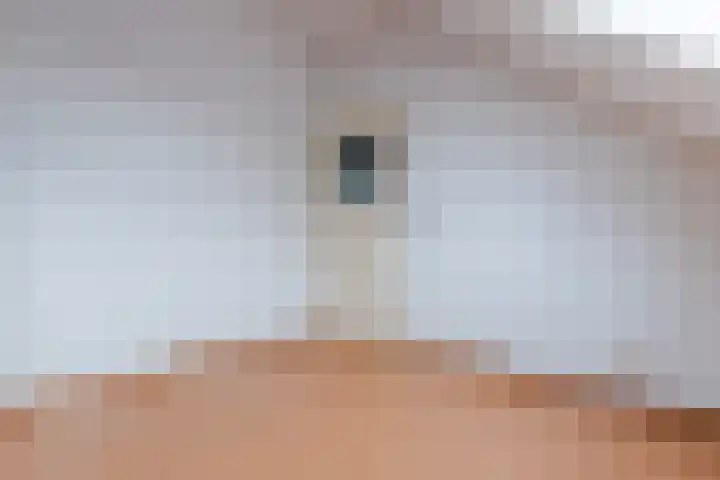 Gele Varaan 54 Heerhugowaard thumbnail 37