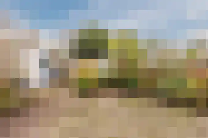 Gele Varaan 54 Heerhugowaard thumbnail 42