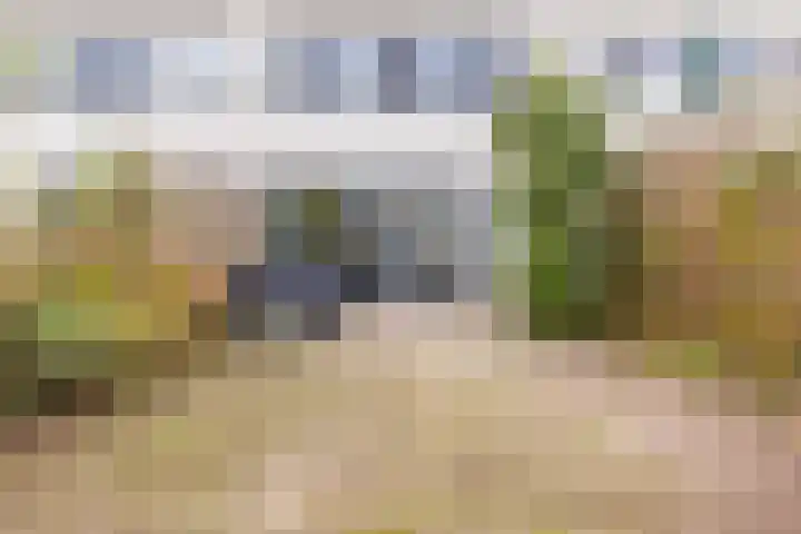 Gele Varaan 54 Heerhugowaard thumbnail 43