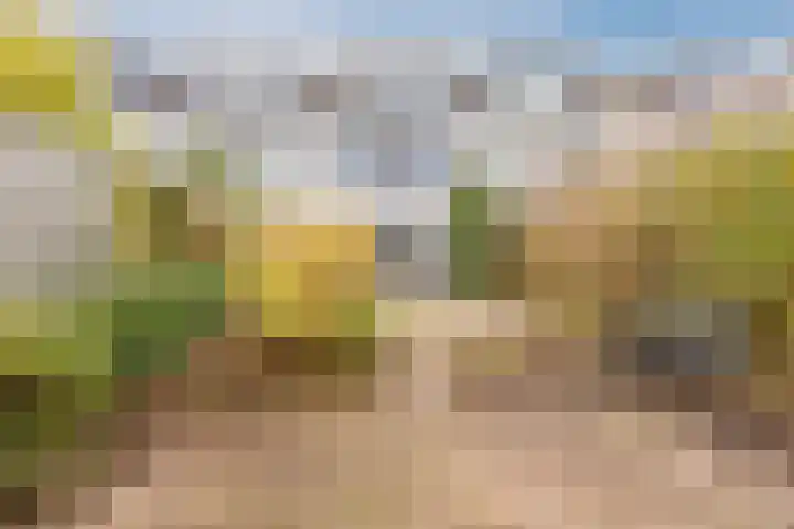 Gele Varaan 54 Heerhugowaard thumbnail 44