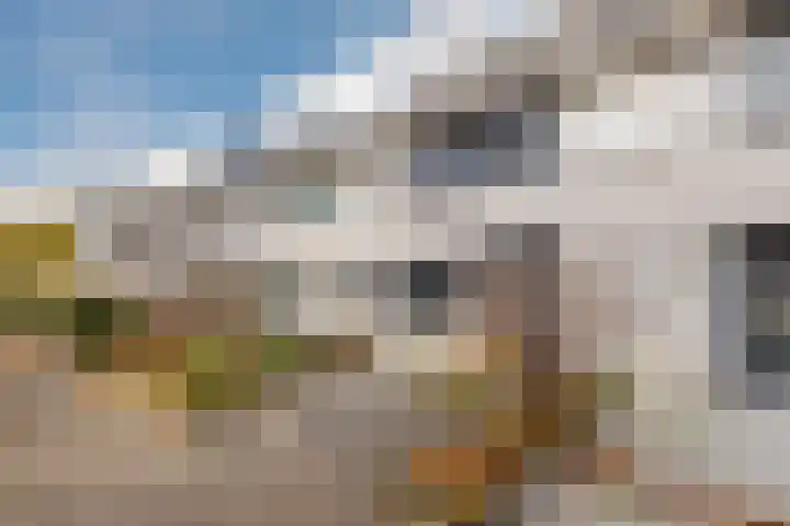 Gele Varaan 54 Heerhugowaard thumbnail 47