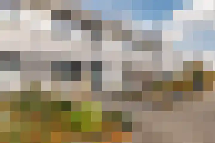 Gele Varaan 54 Heerhugowaard thumbnail 48