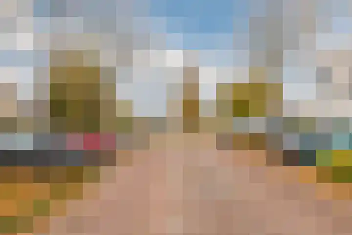 Gele Varaan 54 Heerhugowaard thumbnail 49