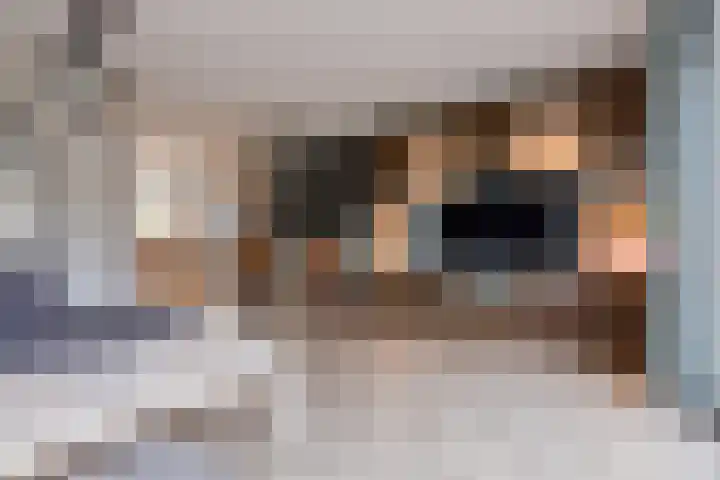 Gele Varaan 54 Heerhugowaard thumbnail 5