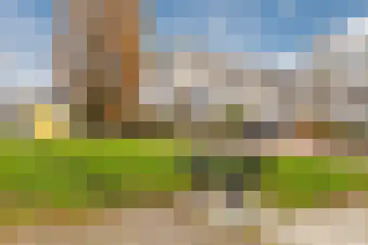 Gele Varaan 54 Heerhugowaard thumbnail 51