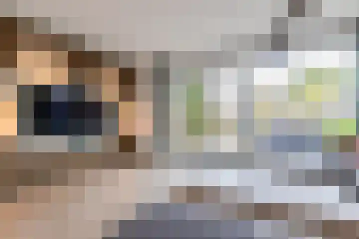 Gele Varaan 54 Heerhugowaard thumbnail 6