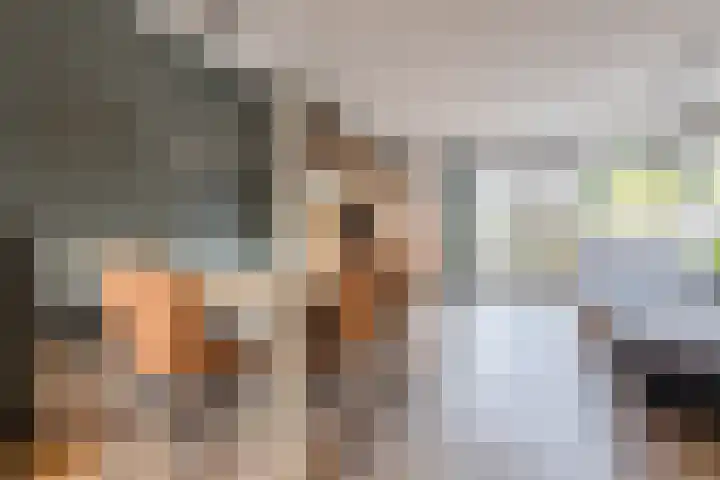 Gele Varaan 54 Heerhugowaard thumbnail 8