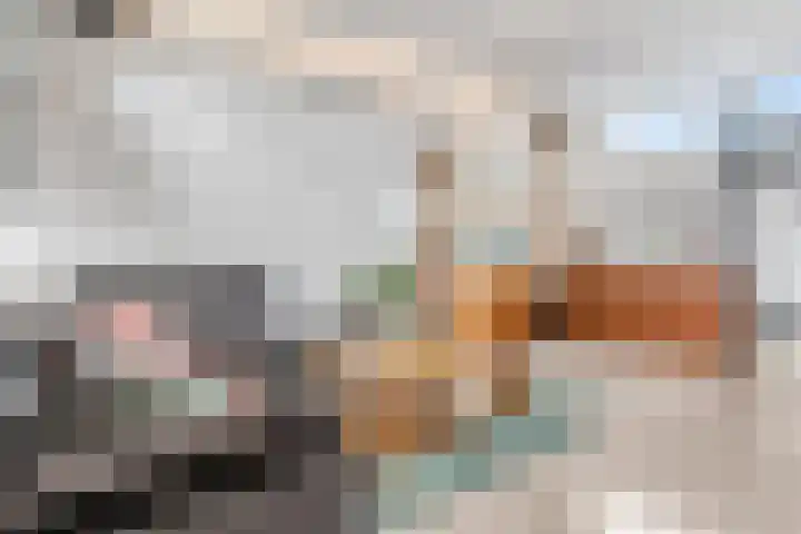 Gele Weiland 18 Nijkerk thumbnail 15