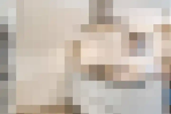 Gele Weiland 18 Nijkerk thumbnail 22