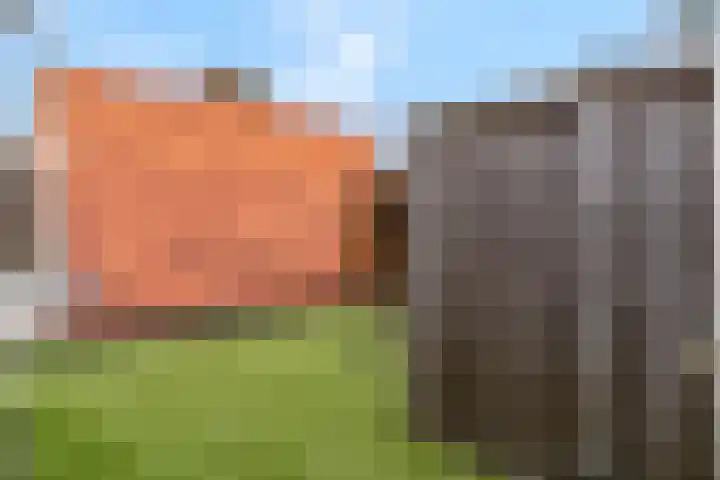 Gele Weiland 18 Nijkerk thumbnail 33