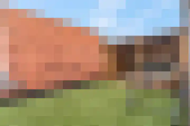 Gele Weiland 18 Nijkerk thumbnail 34