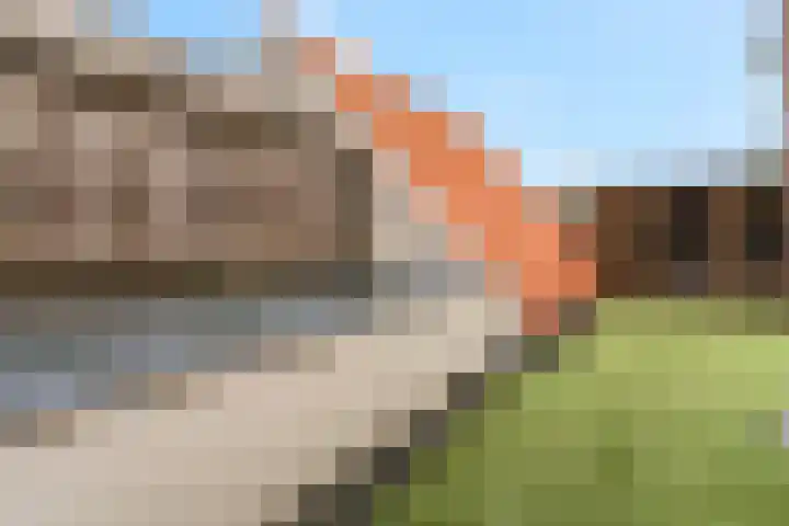 Gele Weiland 18 Nijkerk thumbnail 35