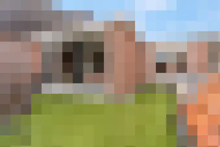 Gele Weiland 18 Nijkerk thumbnail 38