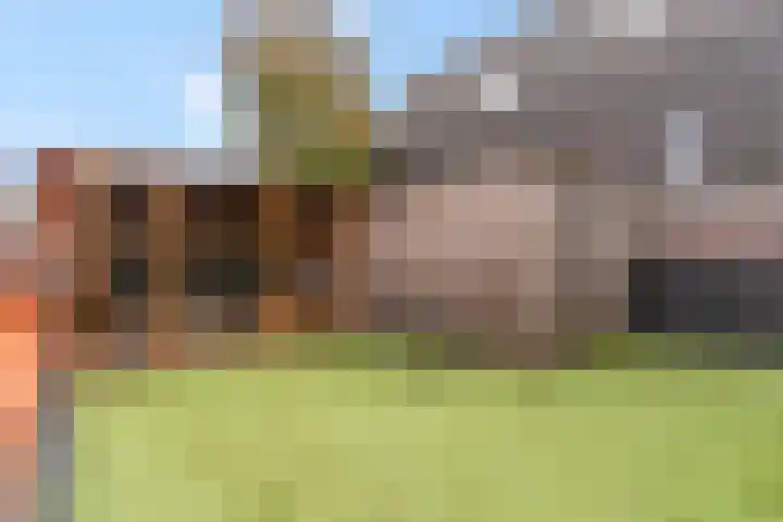 Gele Weiland 18 Nijkerk thumbnail 4