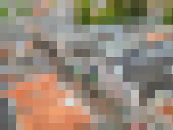 Gele Weiland 18 Nijkerk thumbnail 40