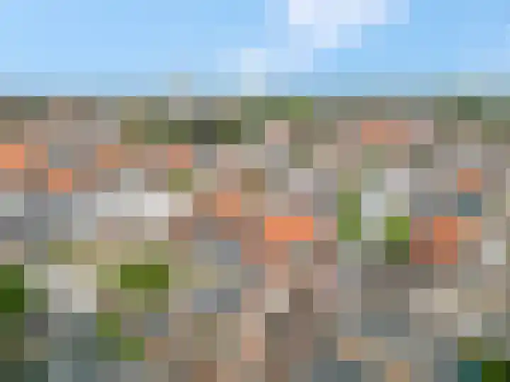 Gele Weiland 18 Nijkerk thumbnail 41