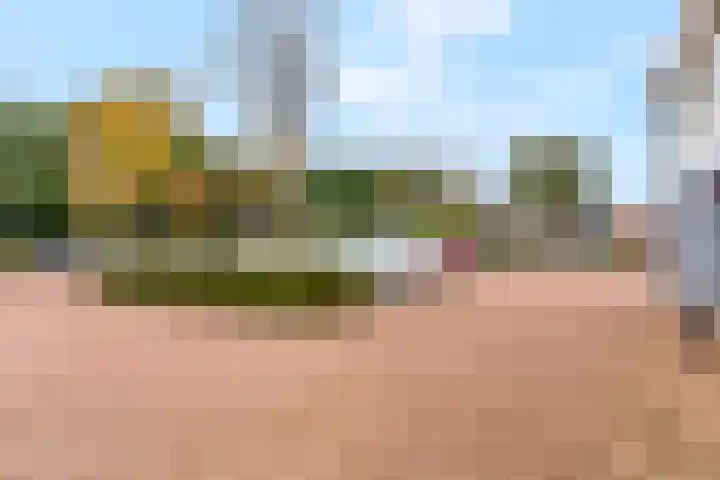 Gele Weiland 18 Nijkerk thumbnail 42