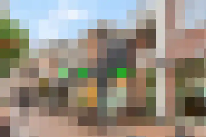 Gele Weiland 18 Nijkerk thumbnail 43