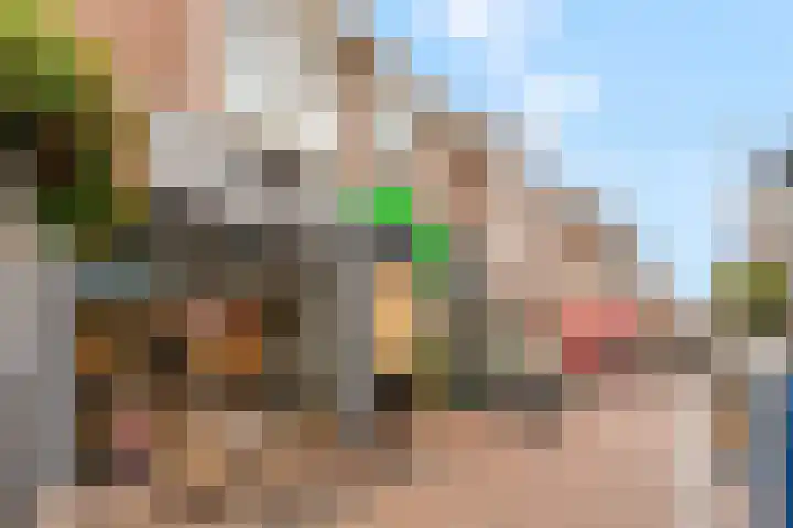 Gele Weiland 18 Nijkerk thumbnail 44