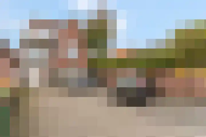 Gele Weiland 18 Nijkerk thumbnail 7