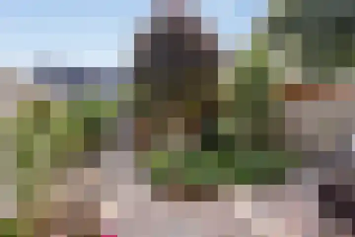 Gele Zee 4 Amersfoort thumbnail 17
