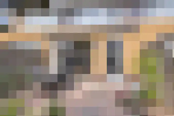 Gele Zee 4 Amersfoort thumbnail 18