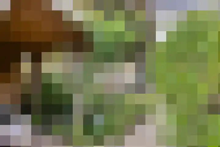 Gele Zee 4 Amersfoort thumbnail 19