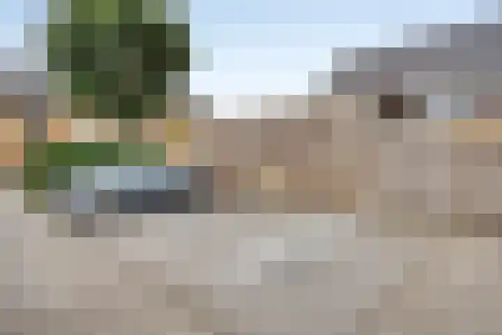 Gele Zee 4 Amersfoort thumbnail 21