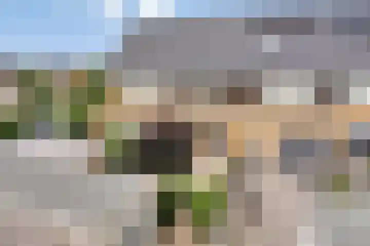 Gele Zee 4 Amersfoort thumbnail 23