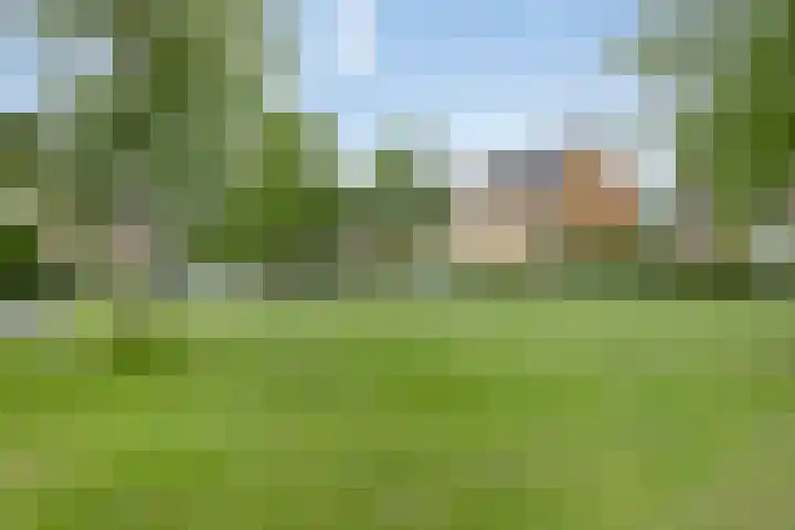 Gele Zee 4 Amersfoort thumbnail 26