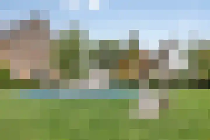 Gele Zee 4 Amersfoort thumbnail 27