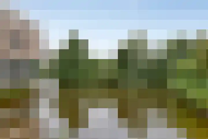 Gele Zee 4 Amersfoort thumbnail 28
