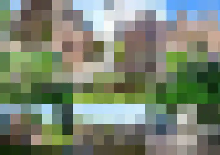 Gele Zee 4 Amersfoort thumbnail 32