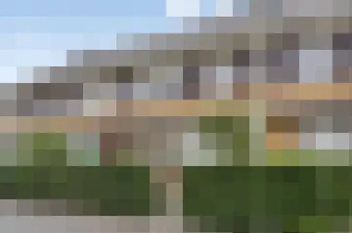 Gele Zee 4 Amersfoort thumbnail 39