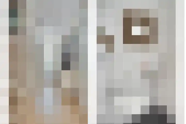 Gele Zee 4 Amersfoort thumbnail 4