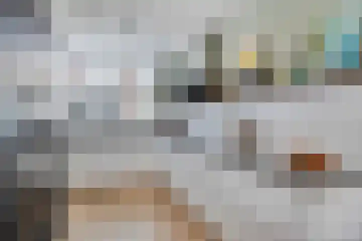 Gele Zee 4 Amersfoort thumbnail 9