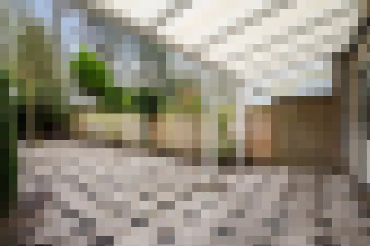 Gelebrem 43 Rotterdam thumbnail 12