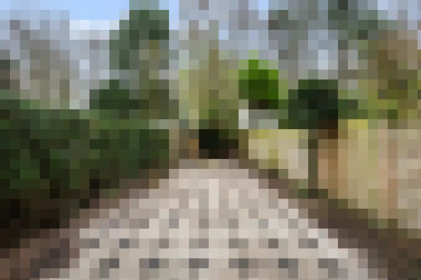 Gelebrem 43 Rotterdam thumbnail 13