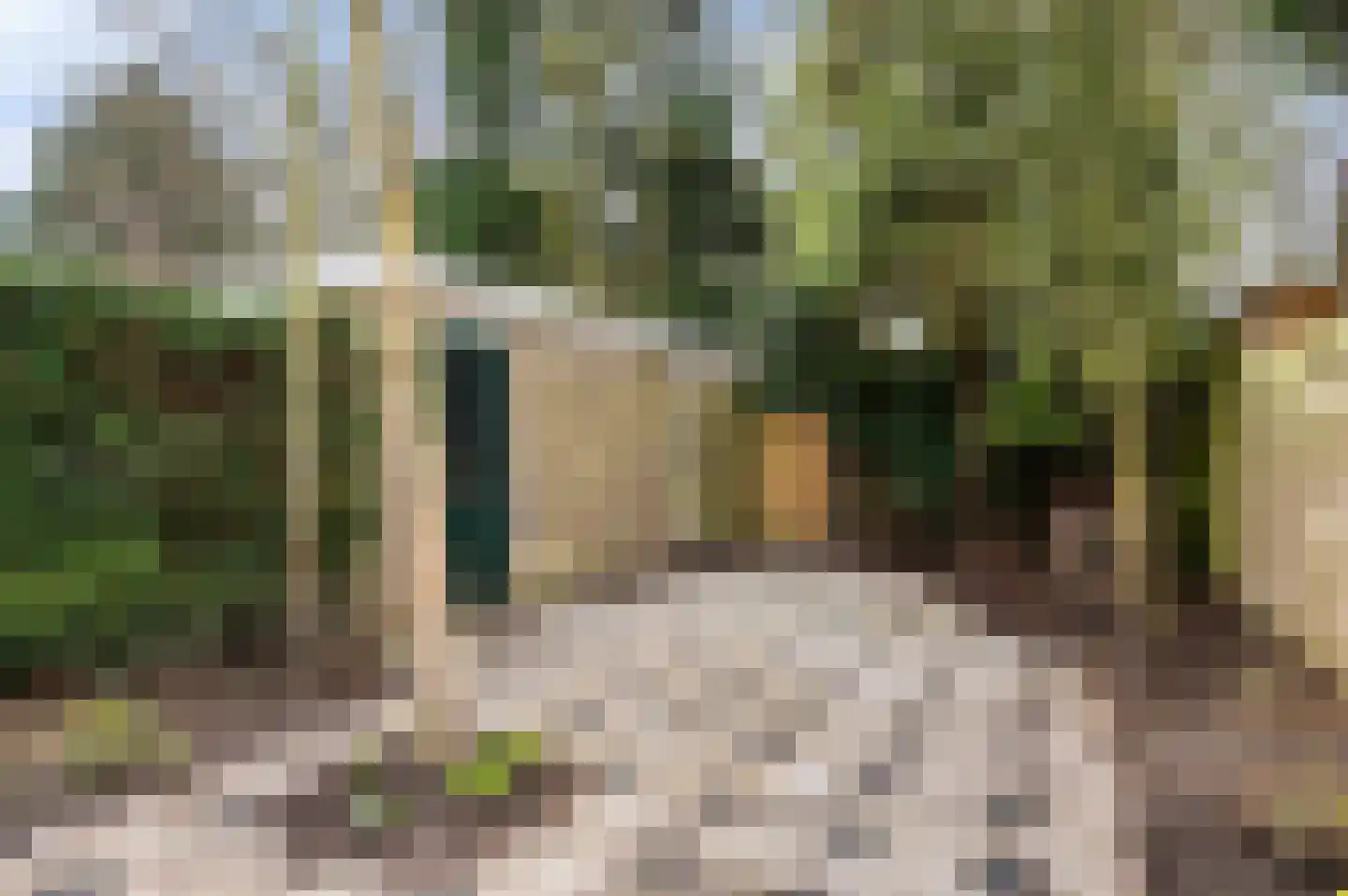 Gelebrem 43 Rotterdam thumbnail 14