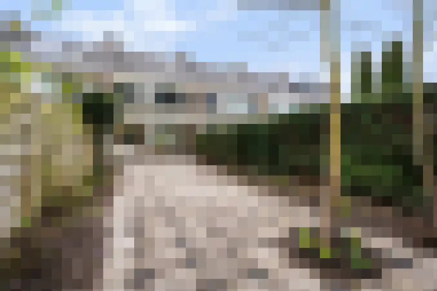 Gelebrem 43 Rotterdam thumbnail 15